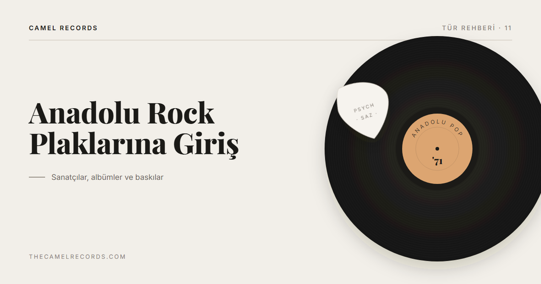 Amber renkli etiketiyle bir vinil plak ve yanında bir gitar penası