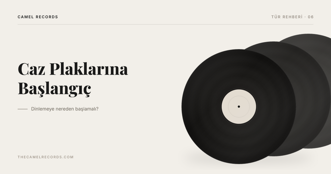 Yelpaze gibi üst üste dizilmiş üç vinil plak