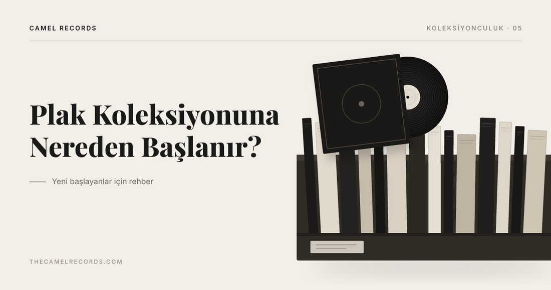 Plak kasasında dizili albüm kapakları ve öne çekilmiş bir kapakla içindeki plak