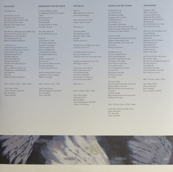 And Also The Trees : Born Into The Waves (LP, Album, RP)