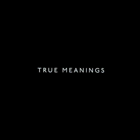 Paul Weller : True Meanings (2xLP, Album)