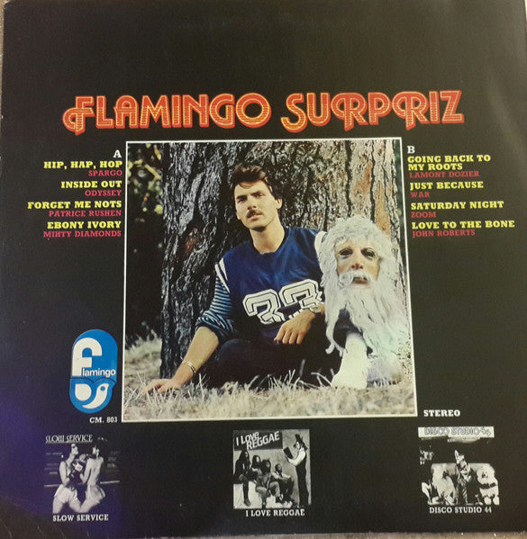 Various : Flamingo Sürpriz (LP, Comp)