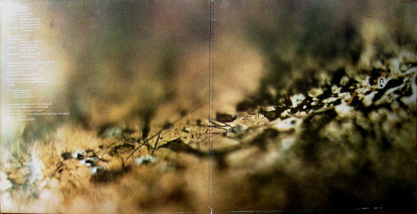 Tangerine Dream : Rubycon (LP, Album, RE, Gat)