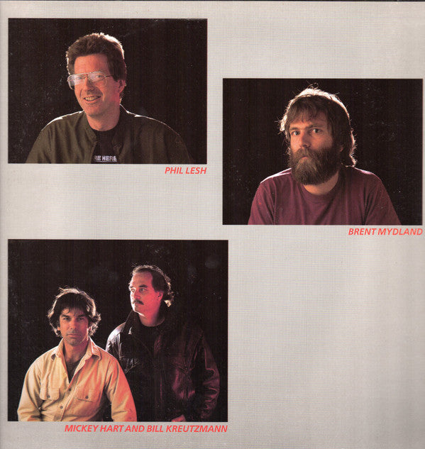 The Grateful Dead : In The Dark (LP, Album, Hau)