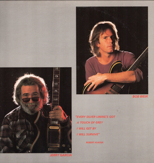The Grateful Dead : In The Dark (LP, Album, Hau)