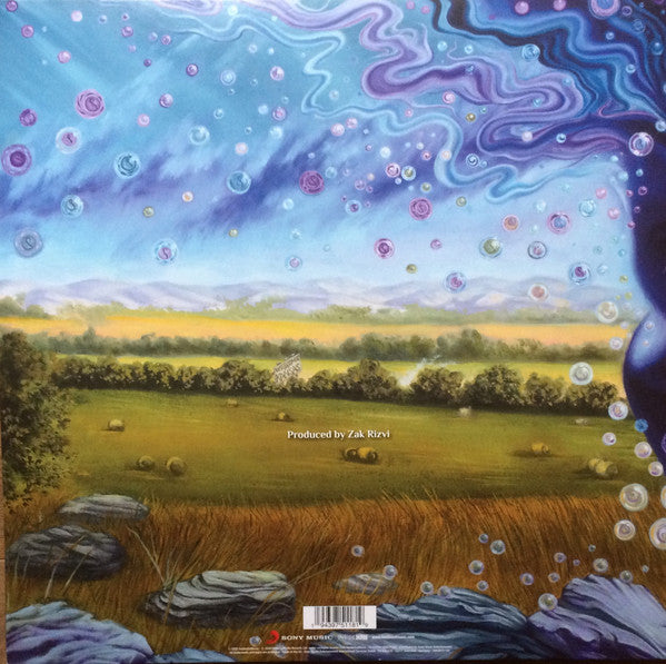 Kansas (2) : The Absence Of Presence (LP + LP, S/Sided, Etch + Album + CD, Album)