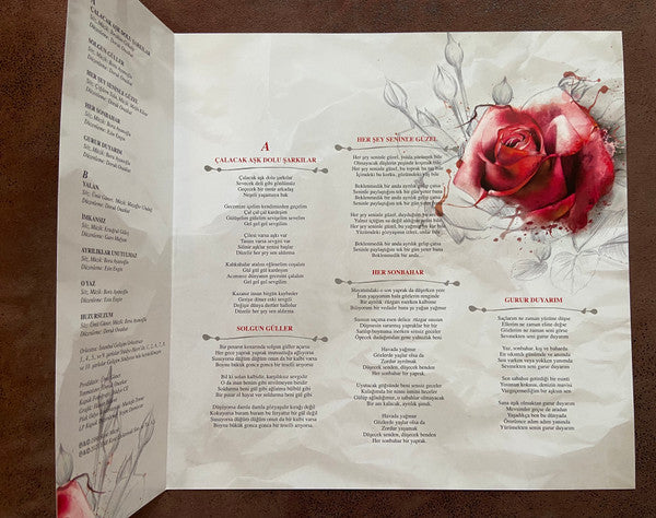 Zerrin Özer : Sevgiler (LP, Album, RE, RM, 180)