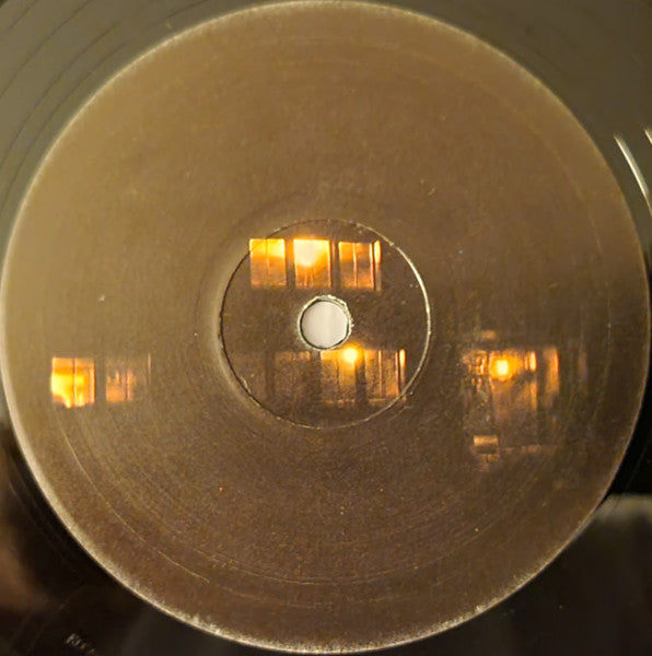 Pantha Du Prince : Black Noise (2x12", Album)