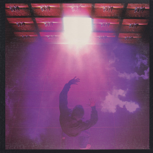 Petra (9) : Beat The System (LP, Album)
