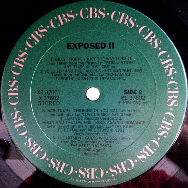 Various : Exposed II: A Cheap Peek At Today's Provocative New Rock (2xLP, Comp, San)