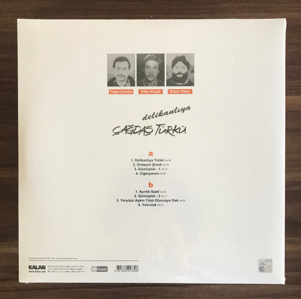 Çağdaş Türkü : Delikanlıya (LP, Album, RE)
