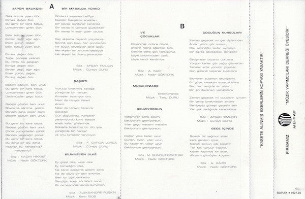 Ezginin Günlüğü : Ölüdeniz (Cass, Album)