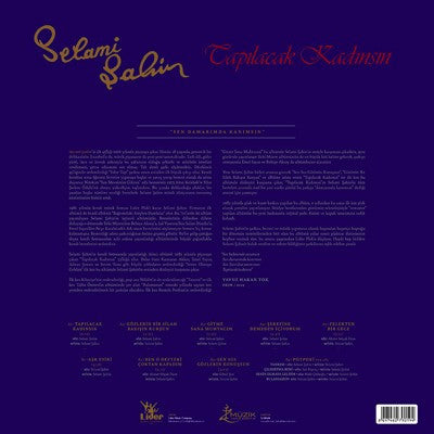 Selami Şahin : Tapılacak Kadınsın (LP, Album, RE, RM)