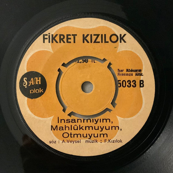 Fikret Kızılok : Aşkın Olmadığı Yerde / İnsanmıyım, Mahlûkmuyum, Otmuyum (7", Single)