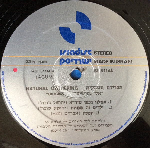 Habrera Hativeet : אלי שורשים (LP, Album)