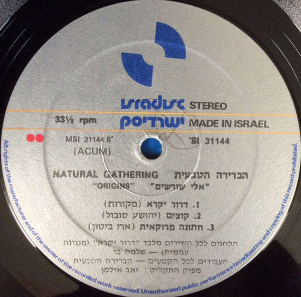 Habrera Hativeet : אלי שורשים (LP, Album)