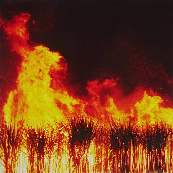 Sleigh Bells : Reign Of Terror (LP, Album)