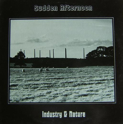Sudden Afternoon - Industry & Nature (12")