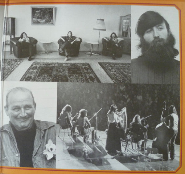 Various : The 2nd Irish Folk Festival On Tour (2xLP)