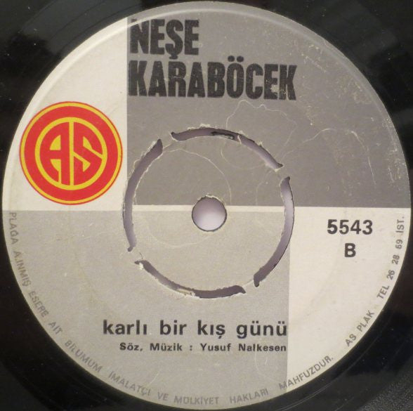 Neşe Karaböcek : İntizar / Karlı Bir Kış Günü (7", Single)
