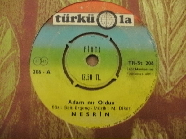 Nesrin : Adam Mı Oldun / Bir Kaşı Kara (7")