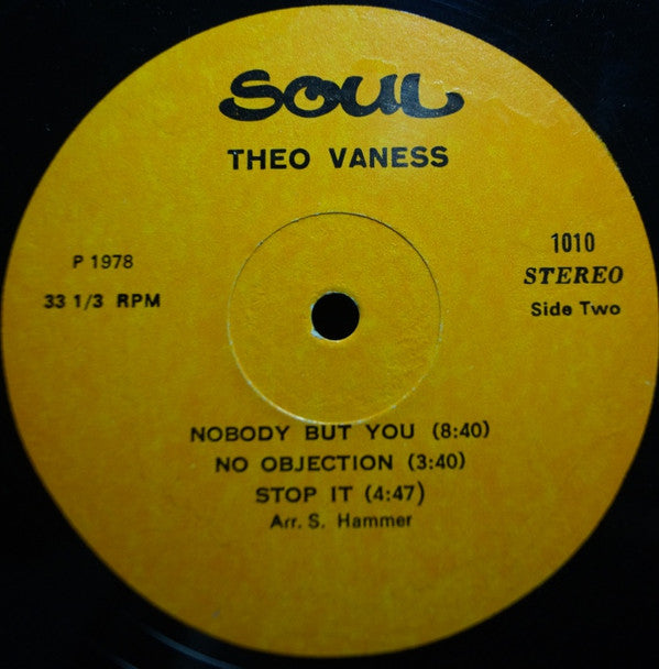 Theo Vaness : Back To Music (LP, Album)