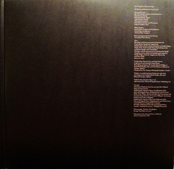Guy Garvey : Courting The Squall (LP, Album)