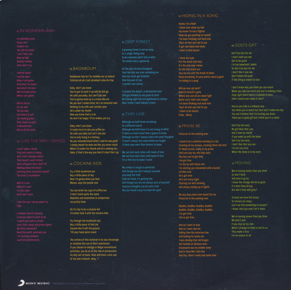 Hooverphonic : In Wonderland (LP, Album + CD, Album)