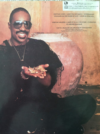 Stevie Wonder : In Square Circle (LP, Album)