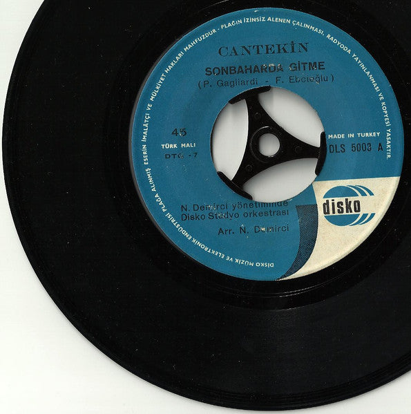 Cantekin : Nefret Ettim / Sonbaharda Gitme (7")