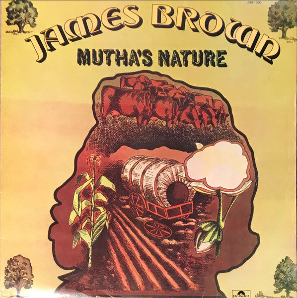 James Brown And The New J.B.'s - Mutha's Nature (LP, Album)