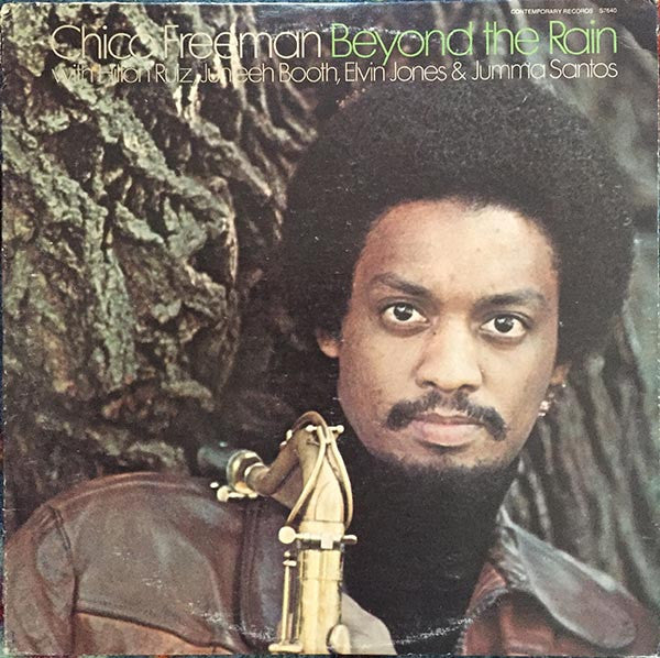 Chico Freeman - Beyond The Rain (LP, Album)
